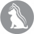 CLUB 4 PAWS PREMIUM PENTRU CĂȚEI "CURCAN ÎN SOS". HRANĂ CONSERVATĂ COMPLETĂ