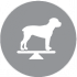 CLUB 4 PAWS PREMIUM LIGHT. HRANĂ COMPLETĂ USCATĂ  "CONTROLUL GREUTĂȚII"  PENTRU C INII ADUL 4 PAWS ПРЕМІУМ «КОНТРОЛЬ ВАГИ». ПОВНОРАЦІОННИЙ СУХИЙ КОРМ ДЛЯ ДОРОСЛИХ СОБАК МАЛИХ ПОРІД СТЕРИЛІЗОВАНИХ АБО СХИЛЬНИХ ДО НАДЛИШКОВОЇ ВАГИ. З ВИСОКИМ ВМІСТОМ ІНДИЧКИ